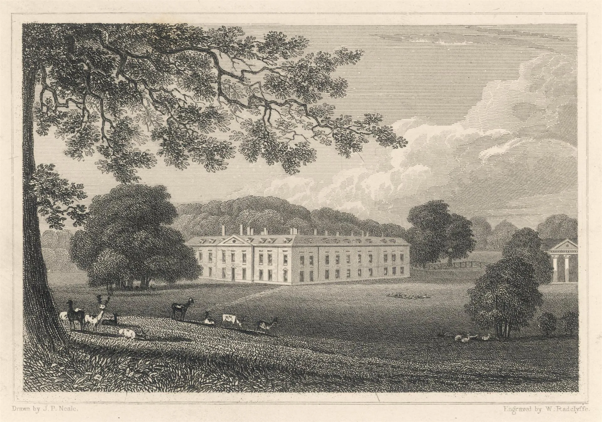 Mary Evans Picture Library
