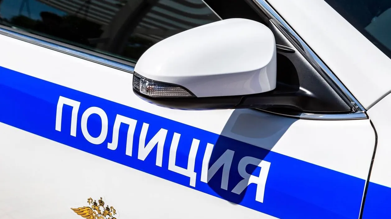 Фото: пресс-служба администрации г.о.Котельники