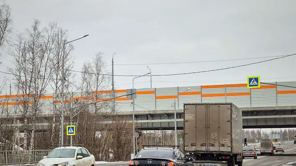 Фото: администрация г. о. Электросталь