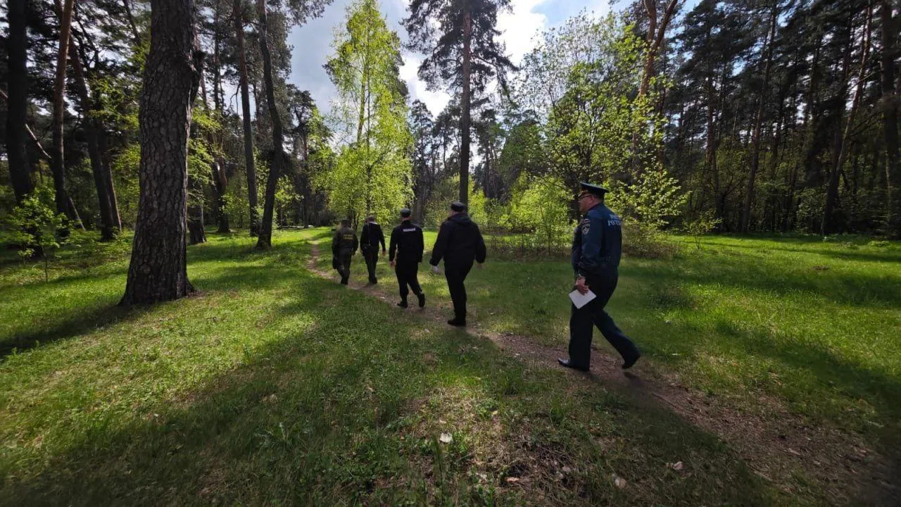 Фото: пресс-служба Комитета лесного хозяйства Московской области