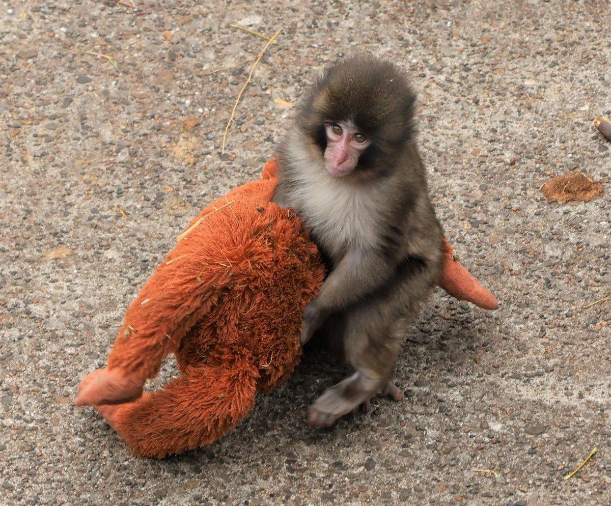 Ichikawa City Zoo