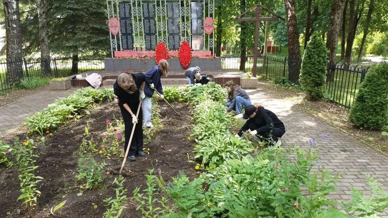 Картинка