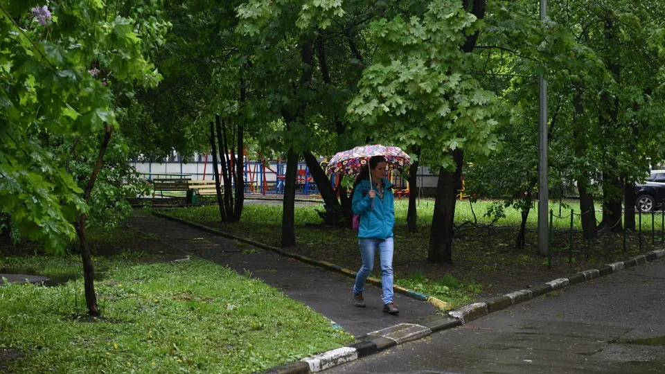 Фото: медиасток.рф