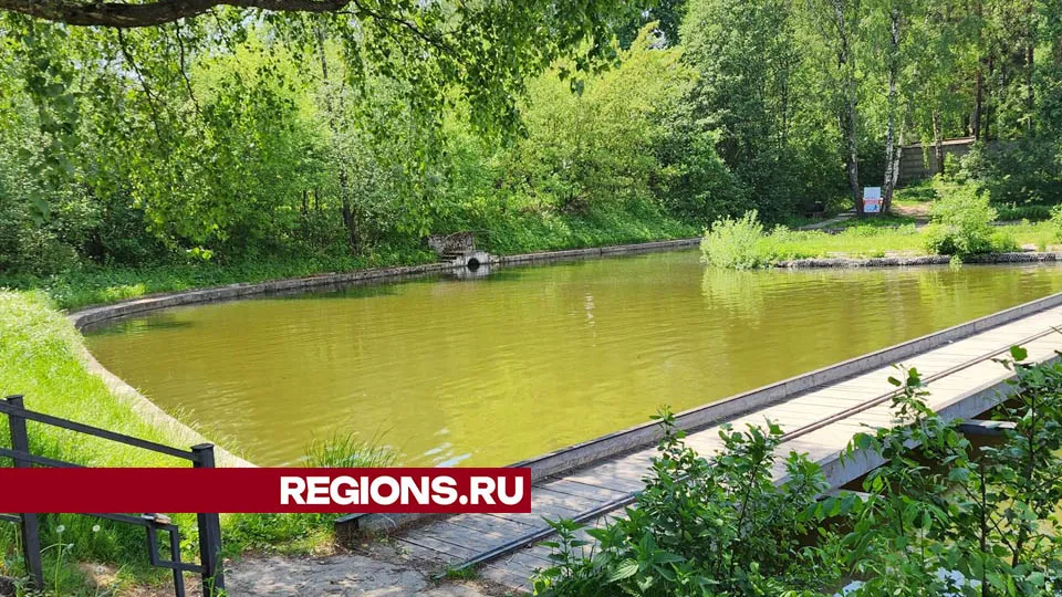Фото: Валерия Тингаева