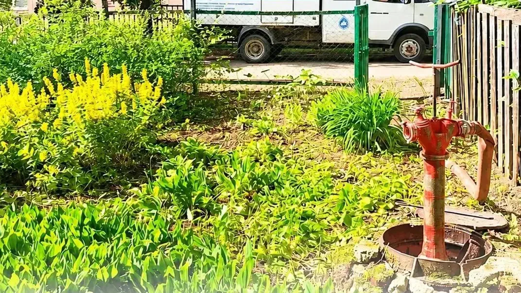 Картинка