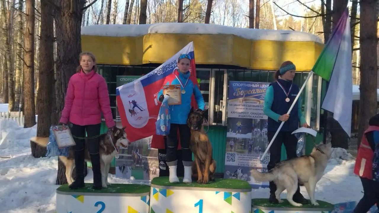 Картинка