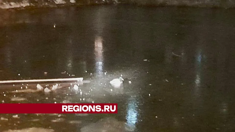 Фото: Михаил Уробушкин