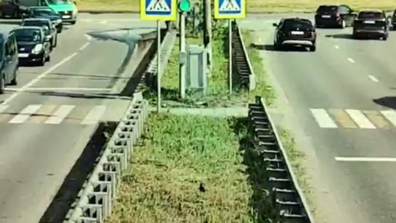Фото: ЦБДД