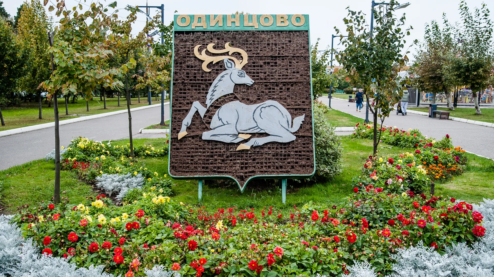 Картинка