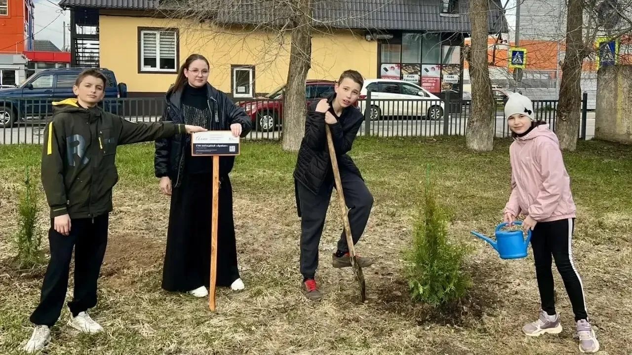 Картинка