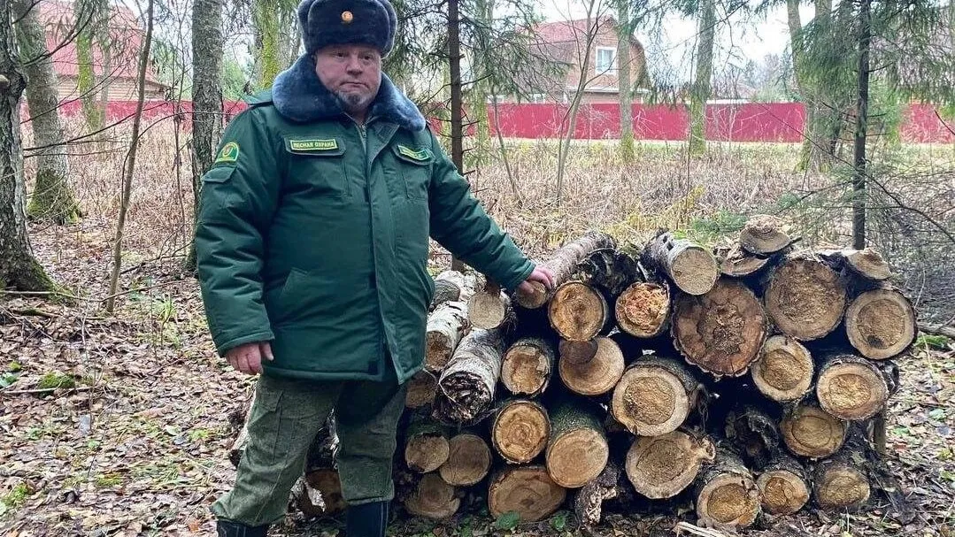Фото: Комитет лесного хозяйства Московской области
