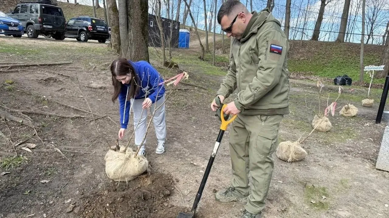 Картинка