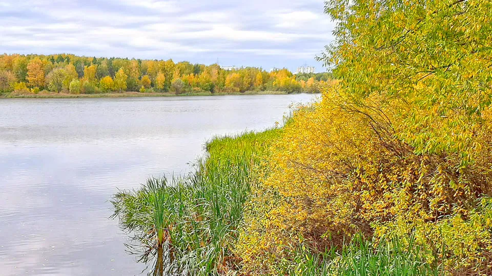 Фото: REGIONS/Дмитрий Кравцов