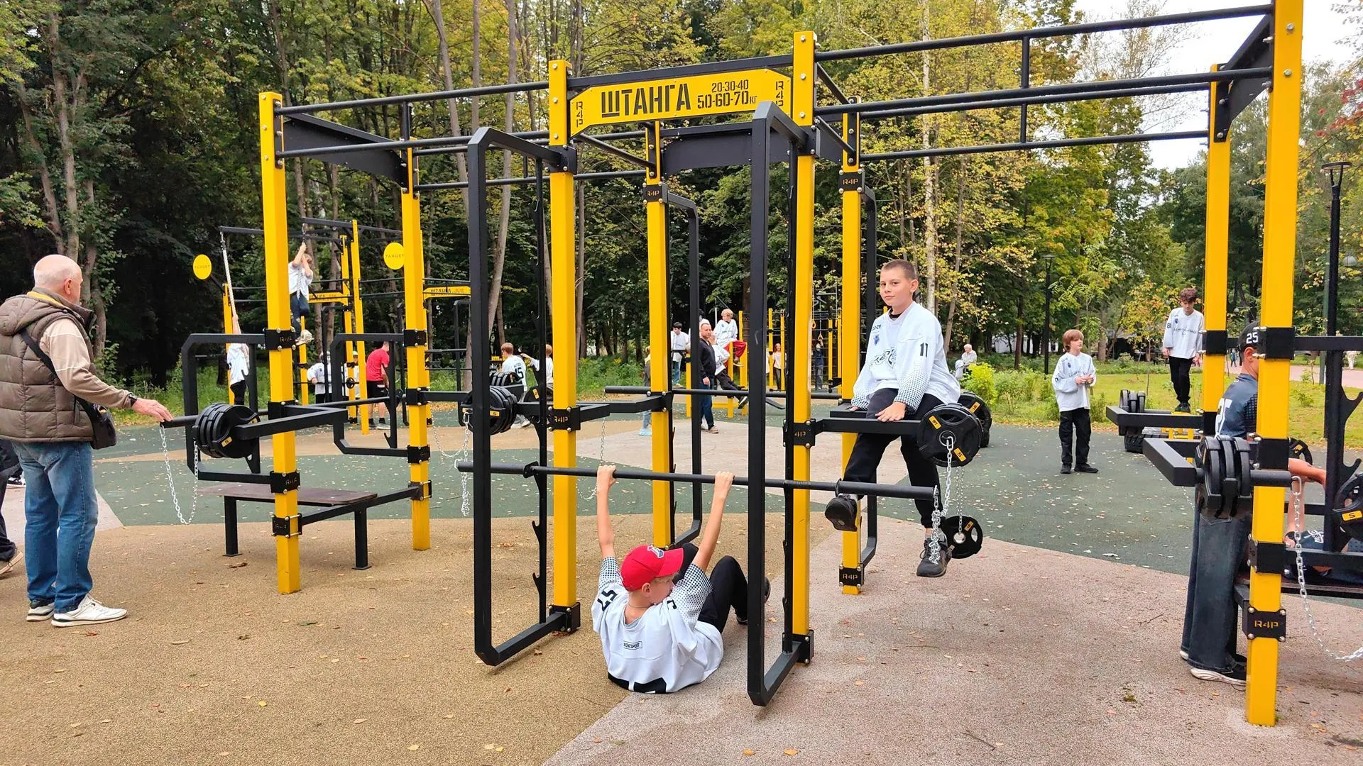 Картинка