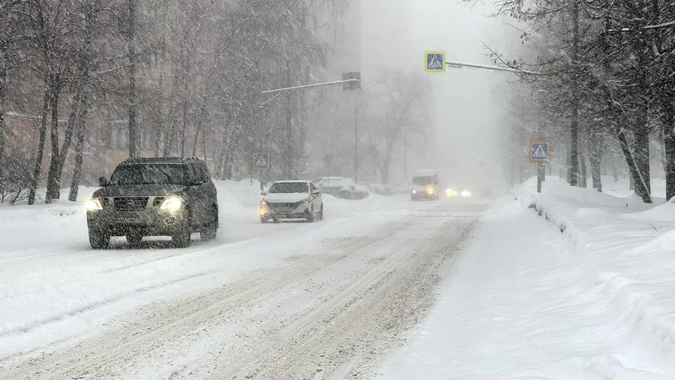 Фото: Александр Легкий