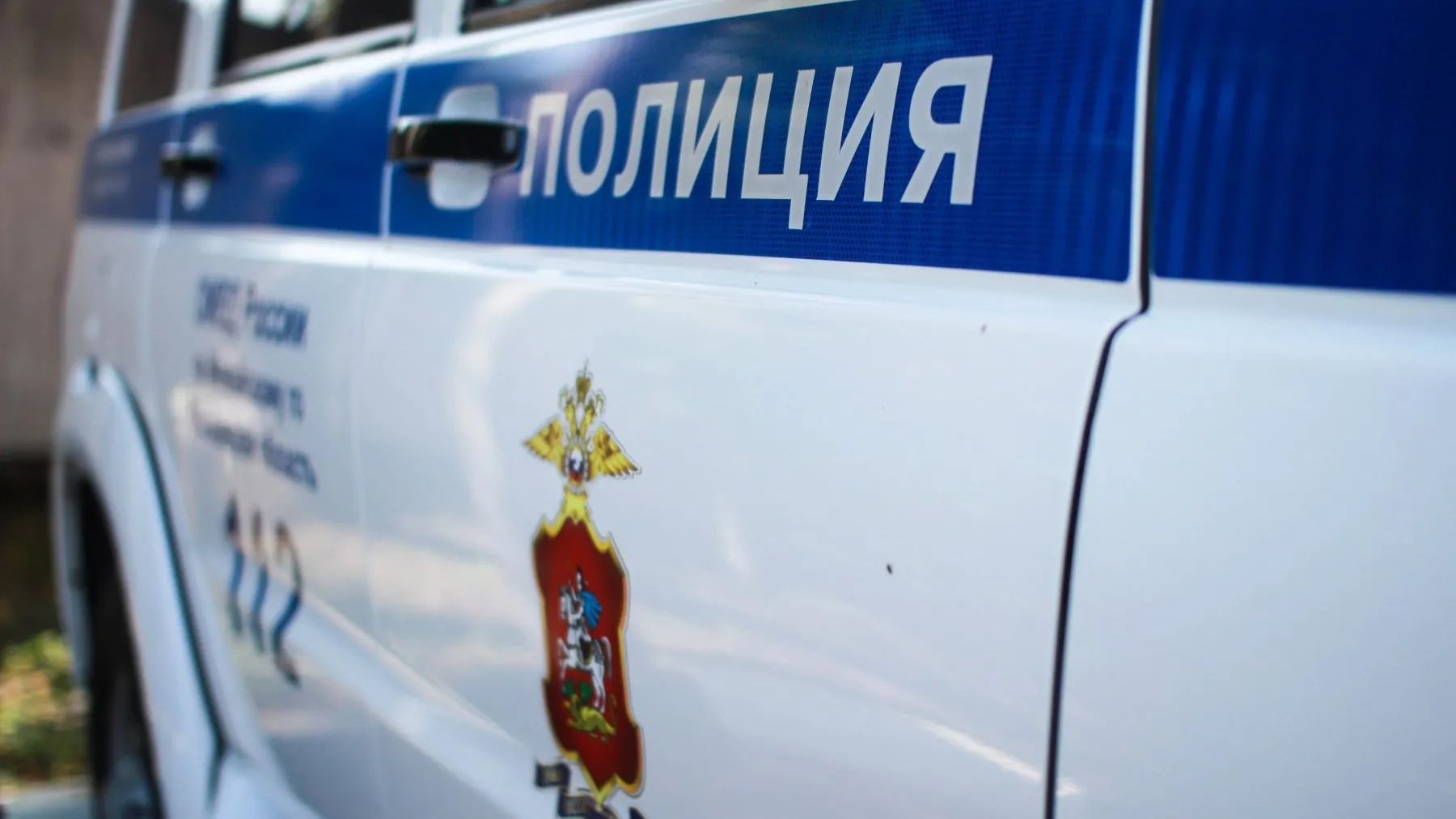 Фото: УМВД России по Дмитровскому городскому округу