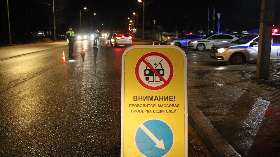 Фото: МедиаБанк Подмосковья/Екатерина Дятловская