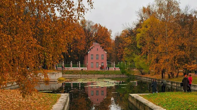Картинка