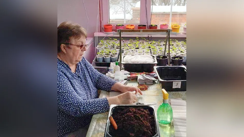 Фото: «Активное долголетие», Бронницы