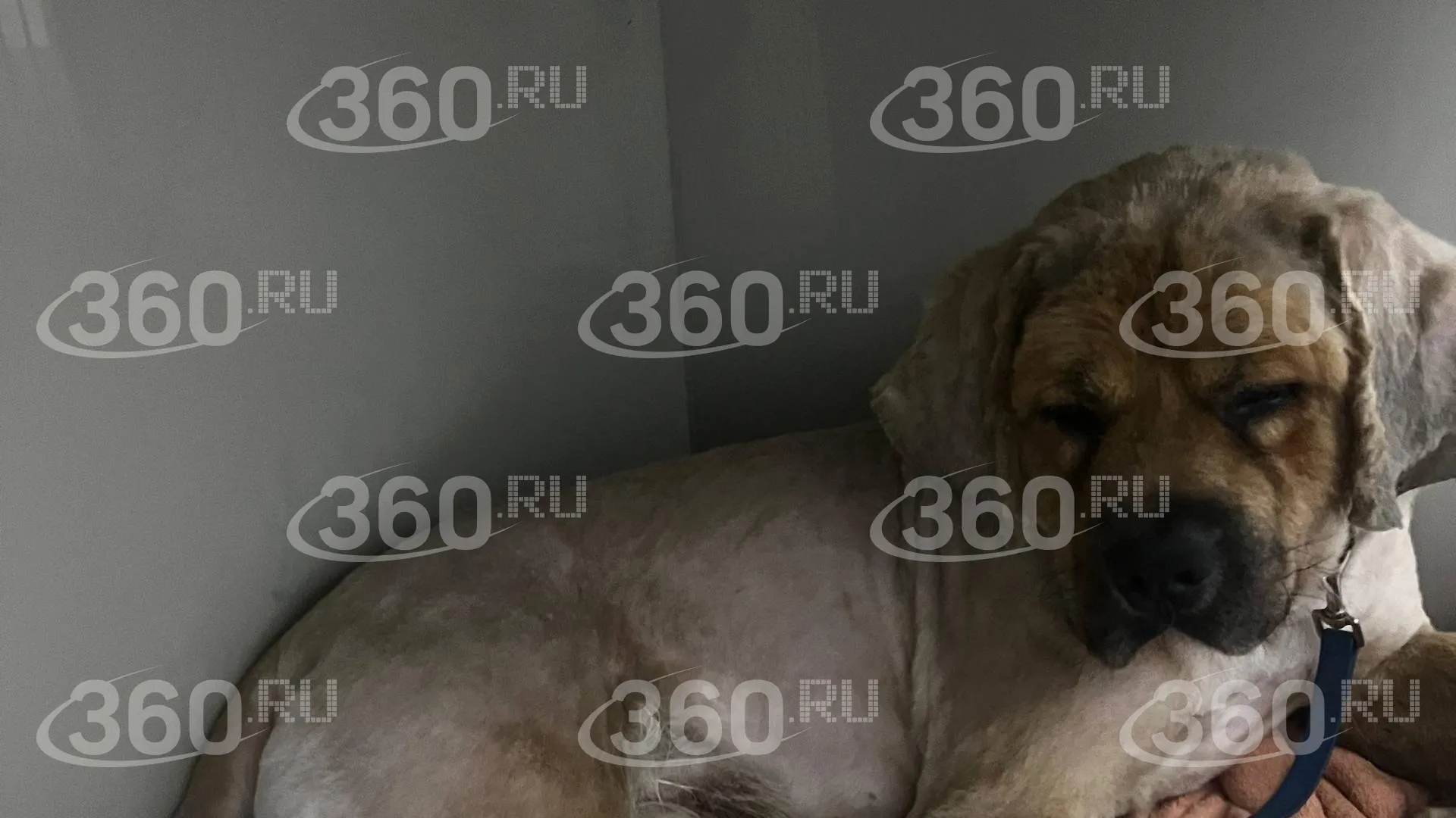 360.ru