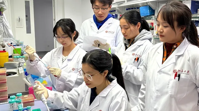 PKU/Handout via Xinhua