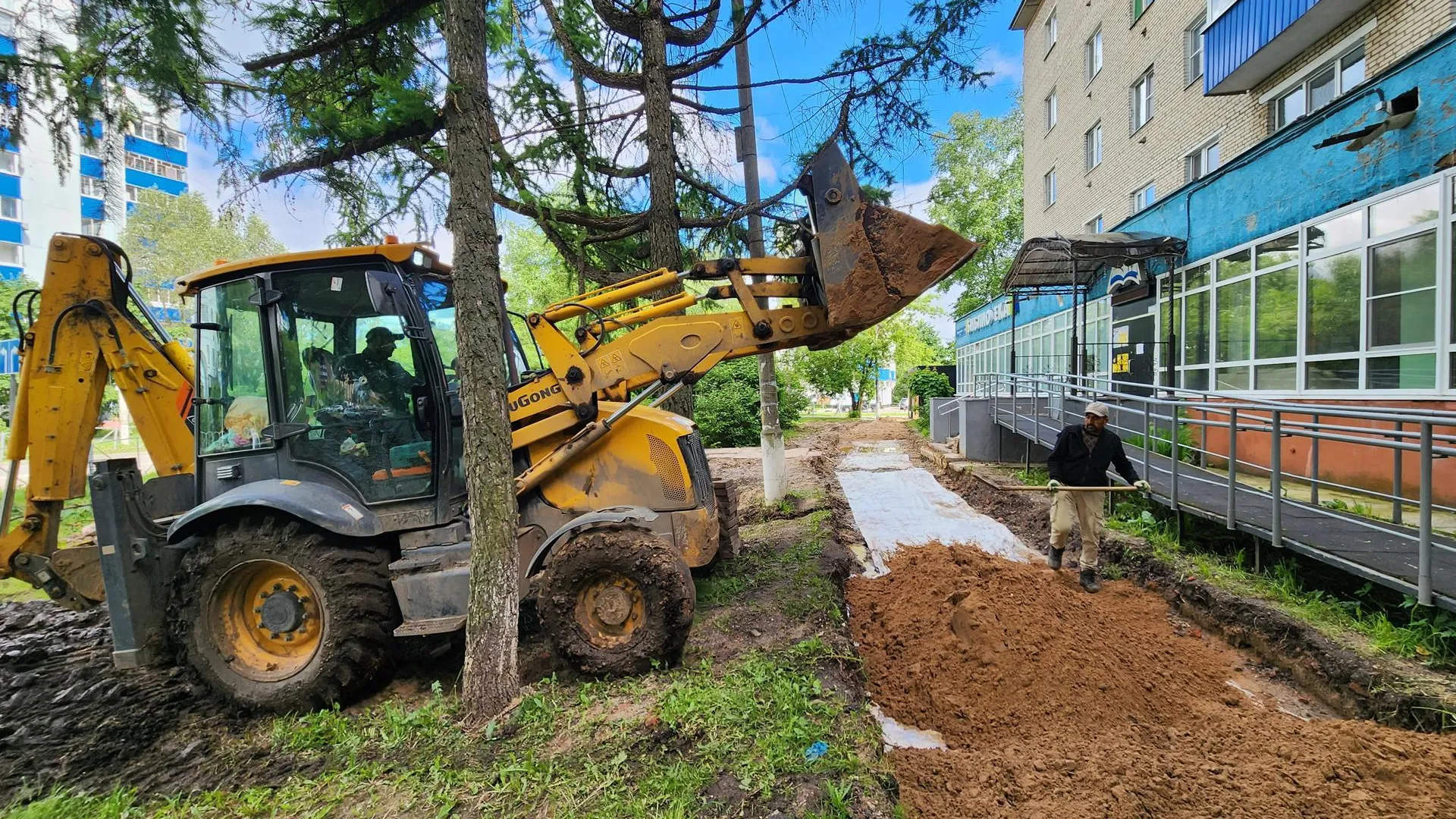Картинка