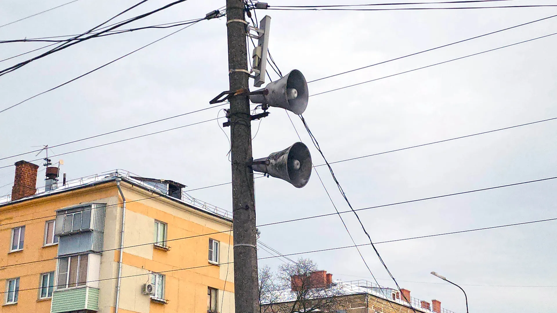 Фото: МедиаБанк Подмосковья/Дмитрий Павлов