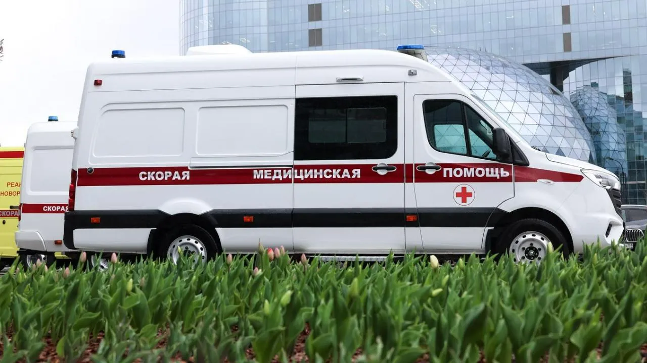 Картинка