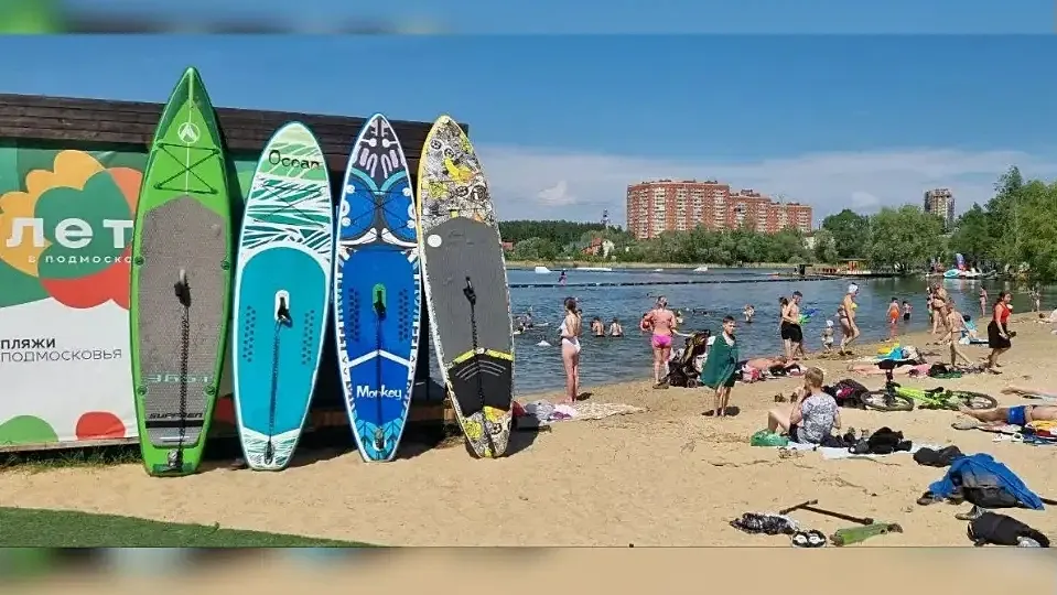 Фото: пресс-служба министерства благоустройства Московской области