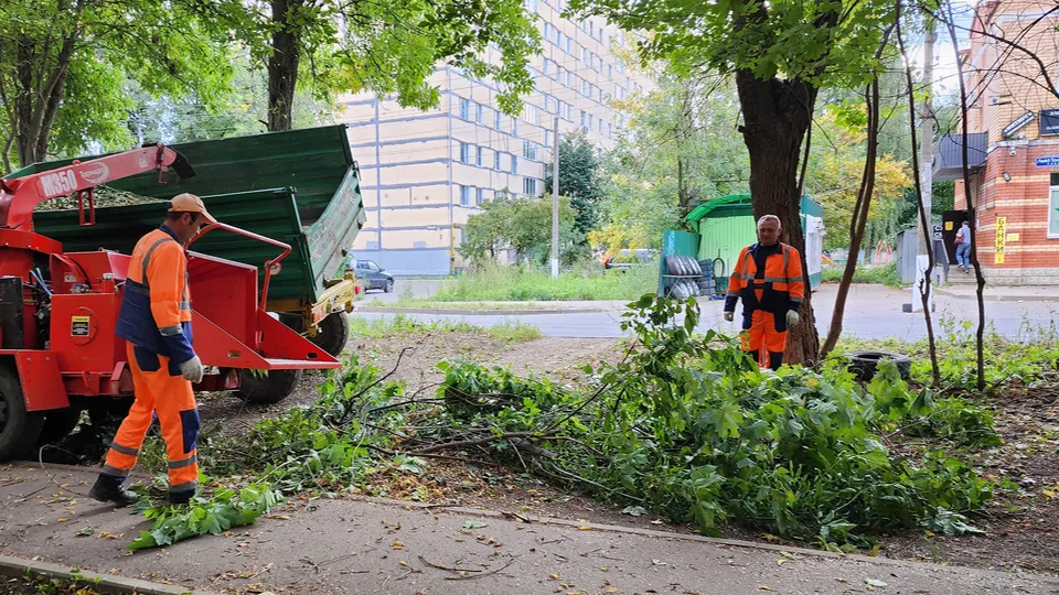 Фото: МедиаБанк Подмосковья/Ольга Шеметова