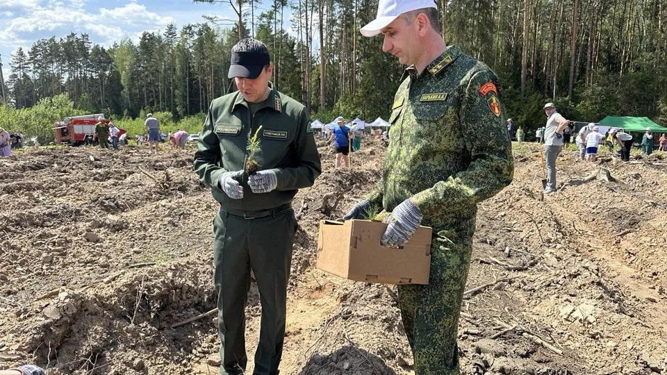 Фото: Комитет лесного хозяйства Московской области