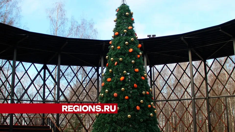 Фото: REGIONS/Василий Тремасов