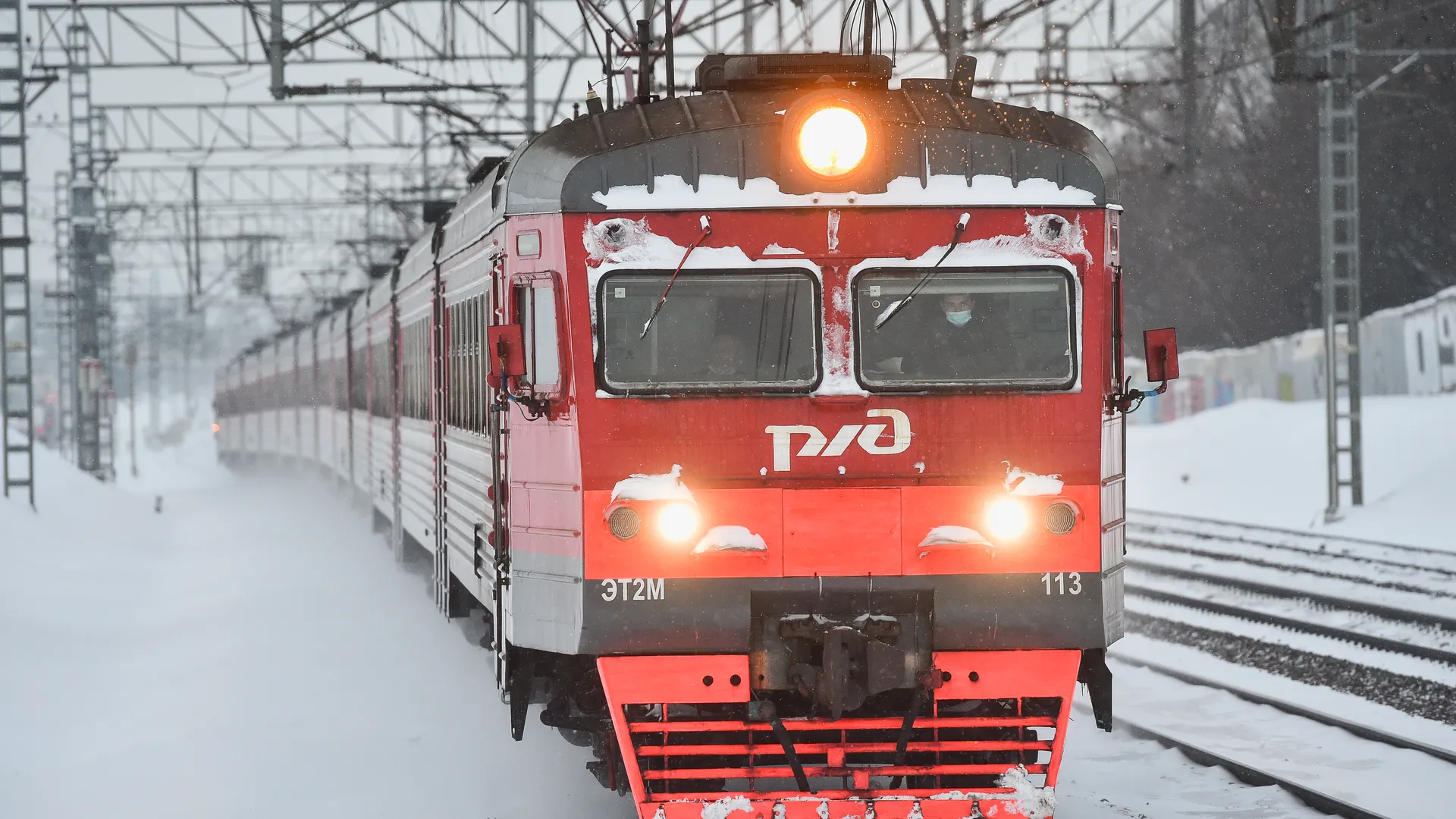 Фото: Медиаархив Подмосковья