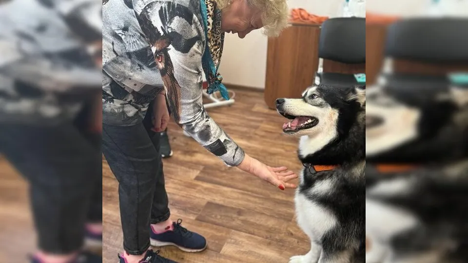 Картинка