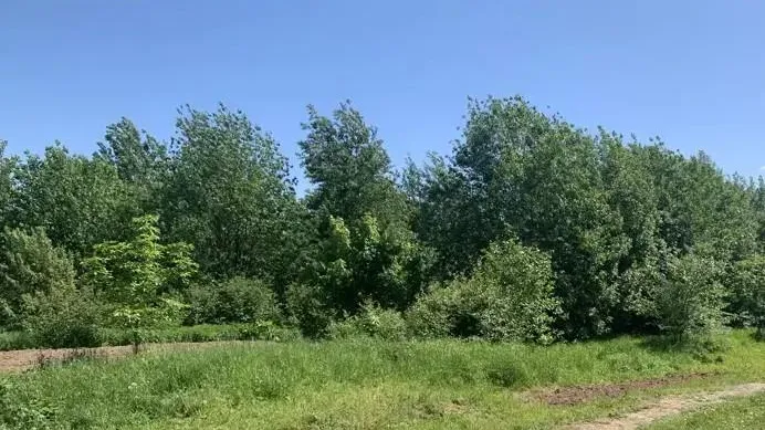 Участок на торгах в Подмосковье