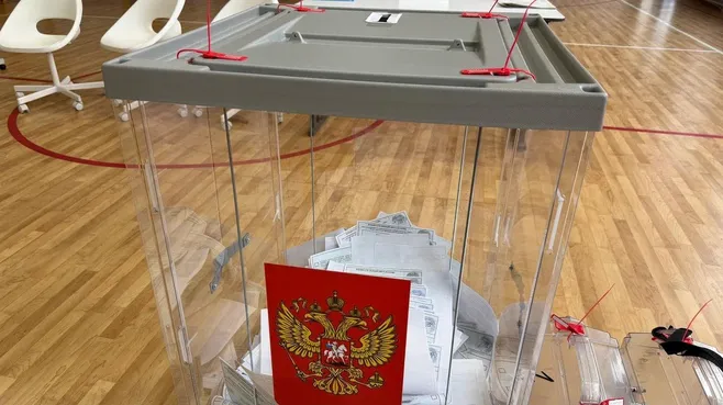 Председатель Мособлдумы оценил рекордную активность жителей Подмосковья на выборах