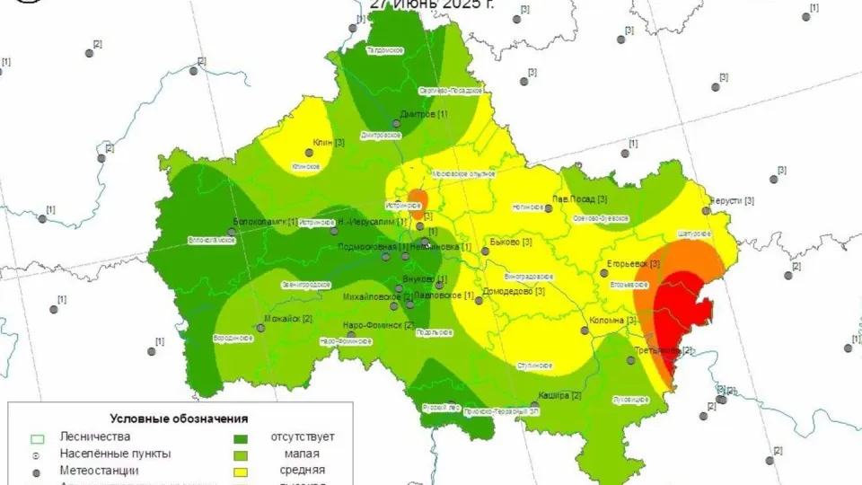 Фото:&nbsp;Комитет лесного хозяйства Московской области