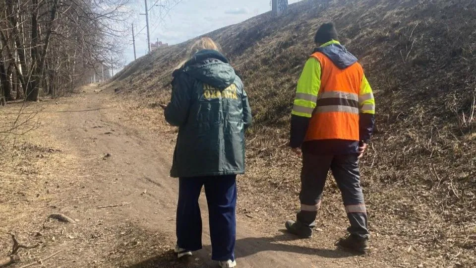 Фото: Комитет лесного хозяйства Московской области