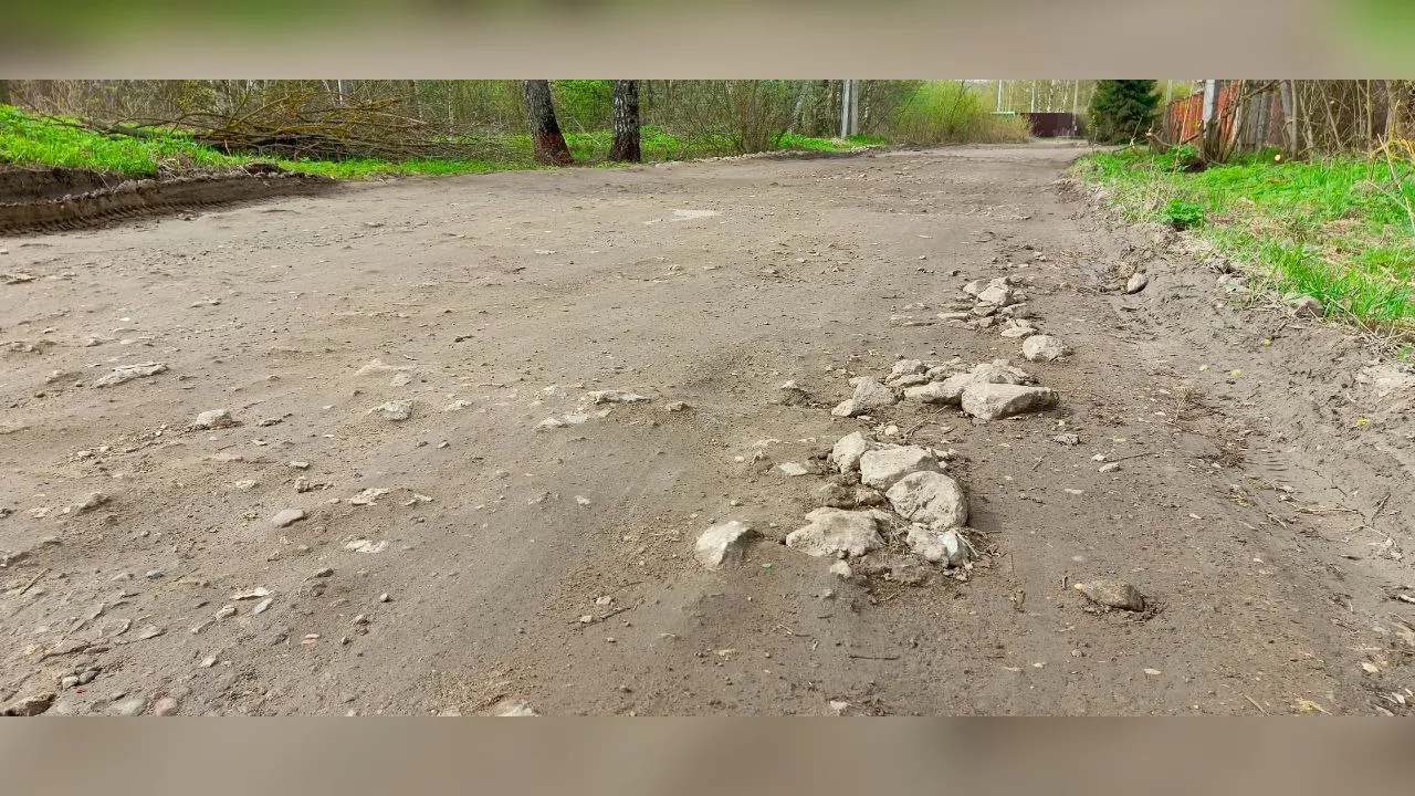 Фото:  Медиаархив Подмосковья / Евгений Рой