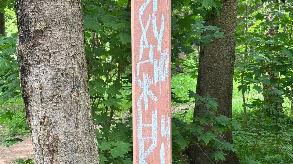 Фото: МБУК «Городской парк культуры и отдыха»