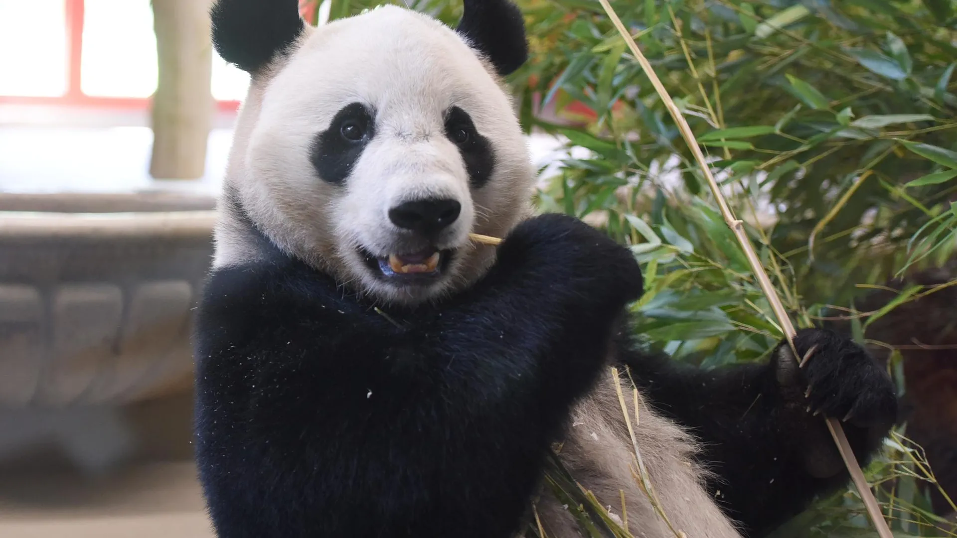 Han Lu/XinHua