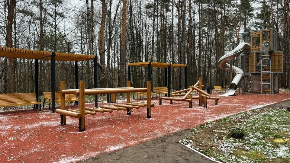 Фото: пресс-служба администрации г.о. Красногорск