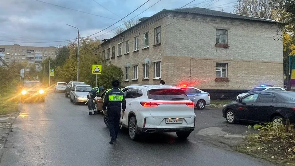 Фото: ОМВД России по г.о. Ступино