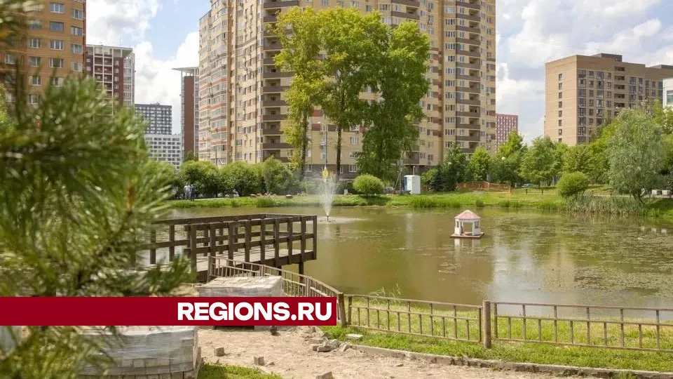 Фото: REGIONS/Дмитрий Белицкий
