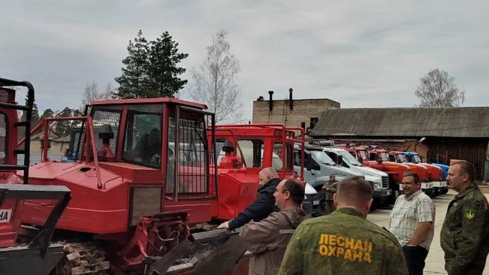 Фото: Комитет лесного хозяйства Московской области