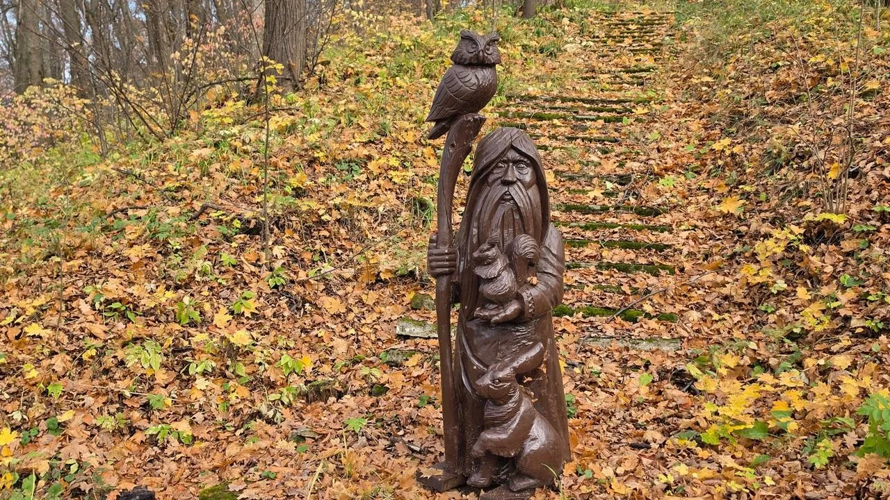 Картинка