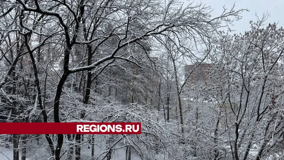 Фото: Михаил Моисеев