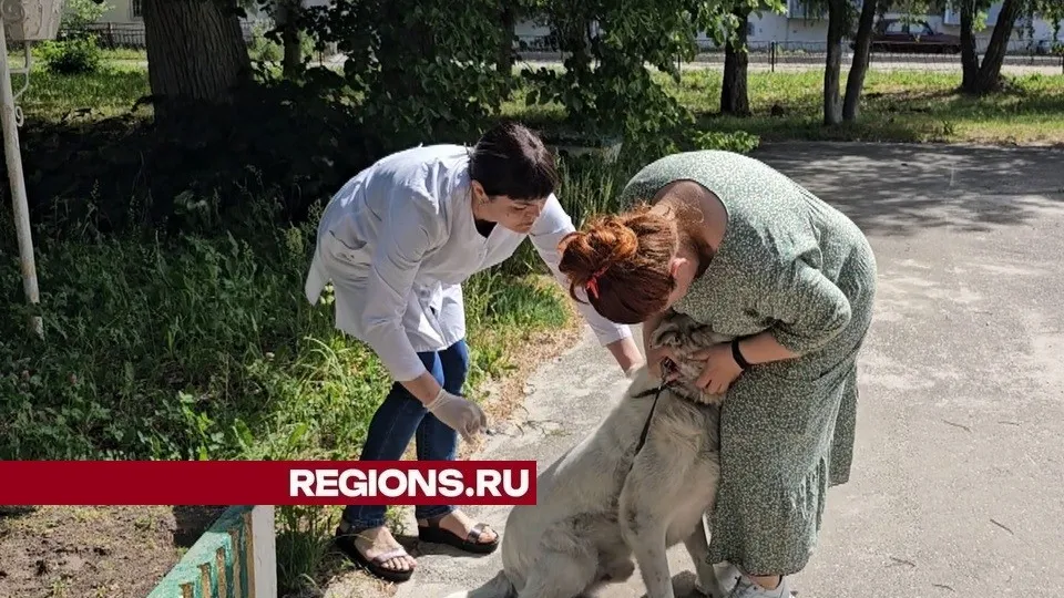 Фото: Александр Дрожжин