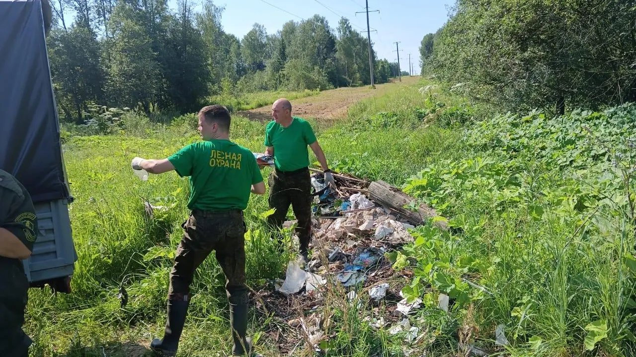Фото: Комитет лесного хозяйства Московской области