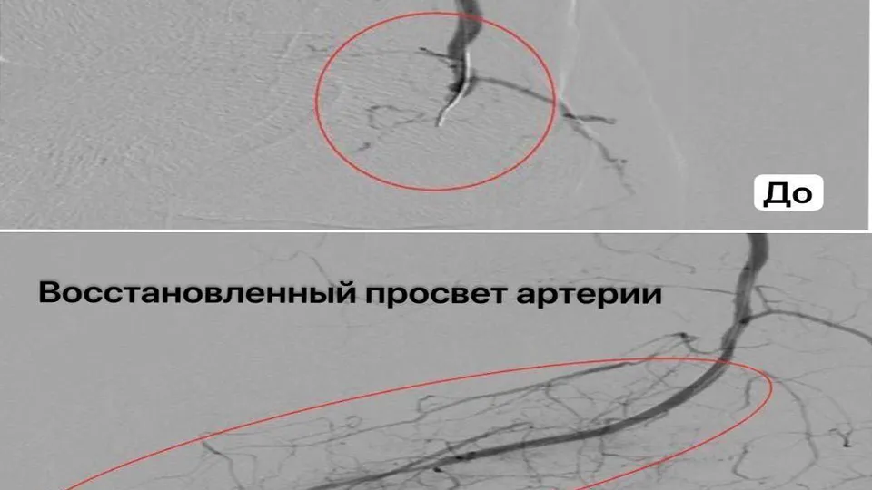 Фото: Министерство здравоохранения Московской области